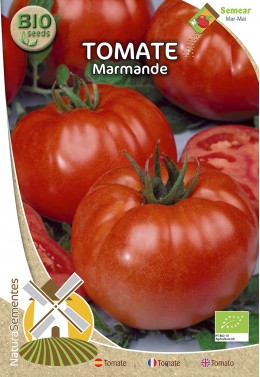 Tomate Marmande