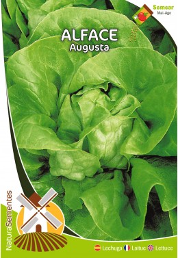 Lechuga Augusta