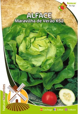 Lechuga Maravilla de Verano KS2