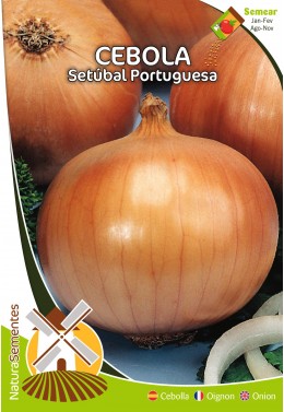 Cebolla Setúbal Portuguesa