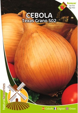 Cebolla Texas Grano 502