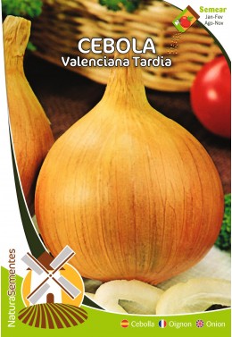 Cebolla Valenciana Tardía