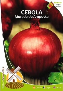 Cebolla Morada de Amposta