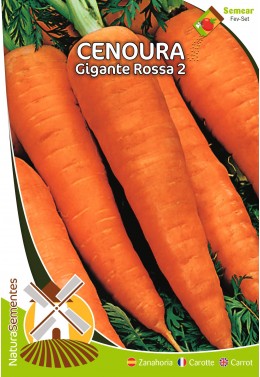 Zanahoria Gigante Rossa 2