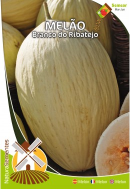 Melón Blanco de Ribatejo