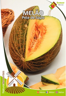 Melón Piel de Sapo