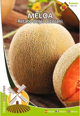 Melón Retato Degli Ortolani