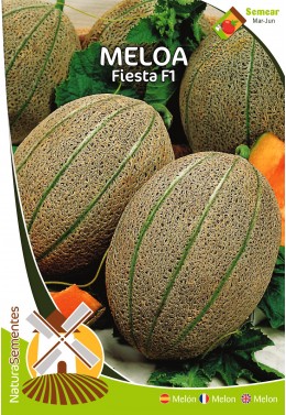 Melón Fiesta F1