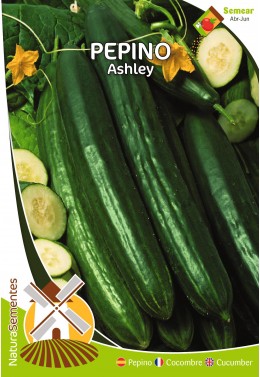 Pepino Ashley