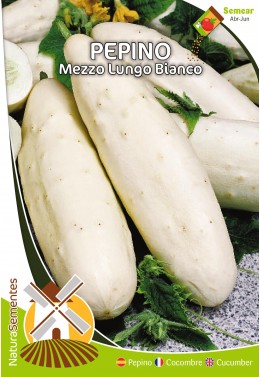 Pepino Mezzo Lungo Bianco