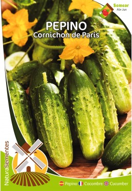 Pepino Cornichon de París