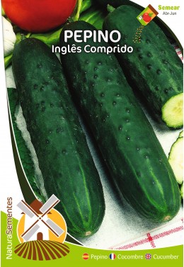 Pepino Inglés Largo