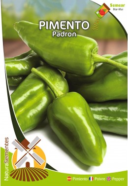 Pimiento del Padrón