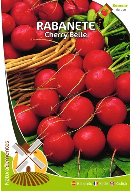 Rabanito Cherry Belle