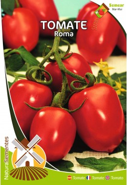 Tomate Roma