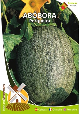 Calabaza Puercoespín