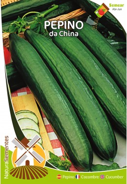 Pepino de China