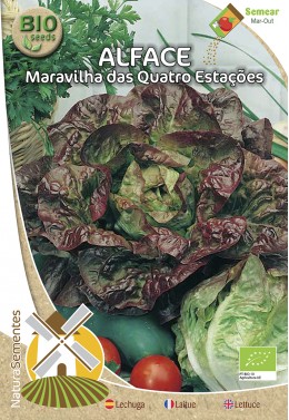 Lechuga Maravilla Cuatro Estaciones