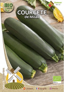 Courgete de Milão