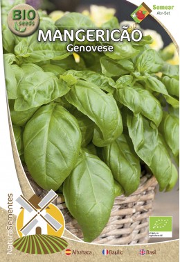 Albahaca Genovese